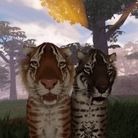 n4t.savannah