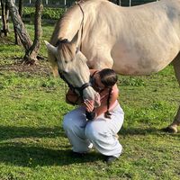 ms.equestriannn