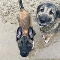 ollie_and_sif