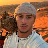videos_gt_
