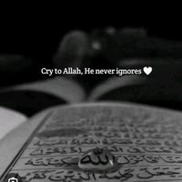 _islamic__writes