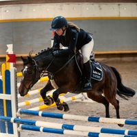 equestrian.lilly16