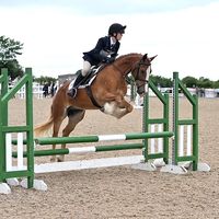 equi_lily1