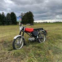 martinschadock9