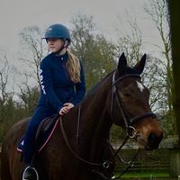 daisie1.x
