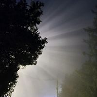 ilie_54