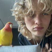 whosasso7