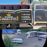 angillettisanto