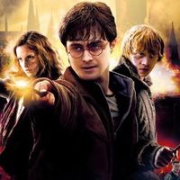 harrywfcf8r