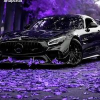 l9_rlx