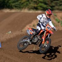 lukebull143_