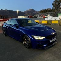 mark_24781