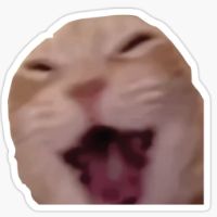 katzenminze21