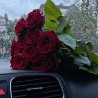 eli_gitanaa1