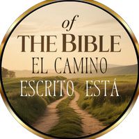elcaminoee78