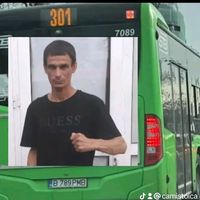 camistoica