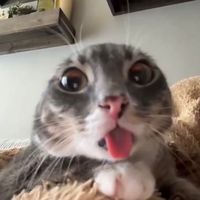 szymus3kk