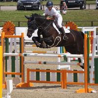 sophiefarrantshowjumping
