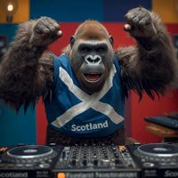 www.kingofthebeats.co.uk