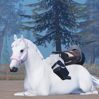 szarlotkaaaaaaaaaaaaa