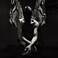 suedehq