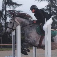 une.ponette.aubere