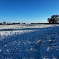 les_5999
