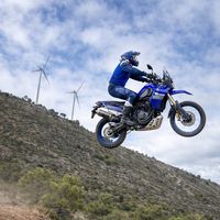 carloshozmoreno4