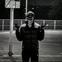 stachu_n10