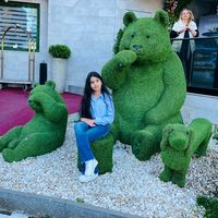 raisamarianechita6