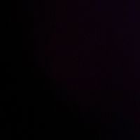 tracey_dmts