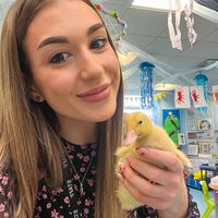misslucas.eyfs