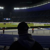 bsc_bene