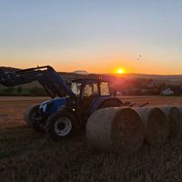 tomlandwirt1