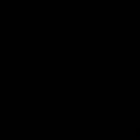 sconosciuta_15