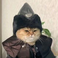 abdulleditx