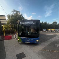 bustrainspotting