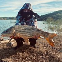 fishing.sevilla