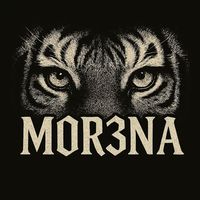 m.0.r.3.n.a