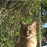 amantedeglianimali122