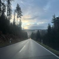 aus.tiefstem.herz