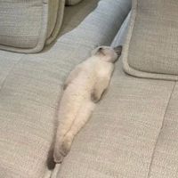 03.03h