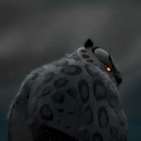 0807009_