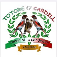 totorocardill_ocarnall