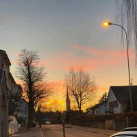 diebeste_1
