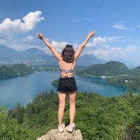 tinytravelbug