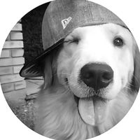 username138655