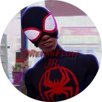 mermiflowjr