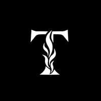 teamo_it