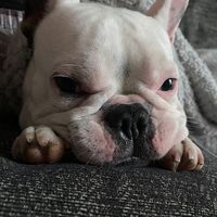 emxlyyna